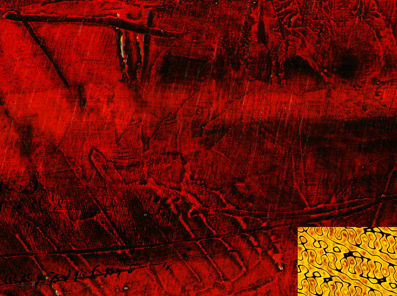 QCD, 2004