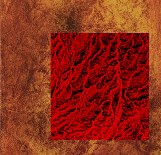 Asymptotic Freedom, 2007