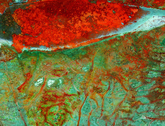 Vision, 2007