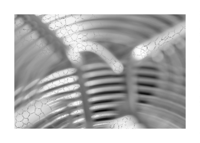 Images N/B -- B/W, Paula Franzini