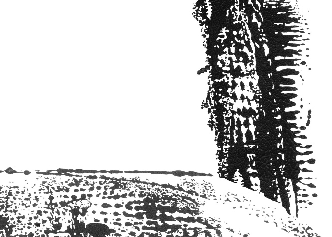 Images N/B -- B/W, Paula Franzini 10