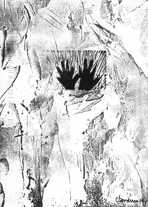 Images N/B -- B/W, Céline Goudreau 11