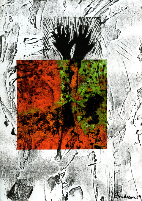 Images finis -- finished images, Céline Goudreau noir et blanc -- B/W, Paula Franzini couleur/color 1