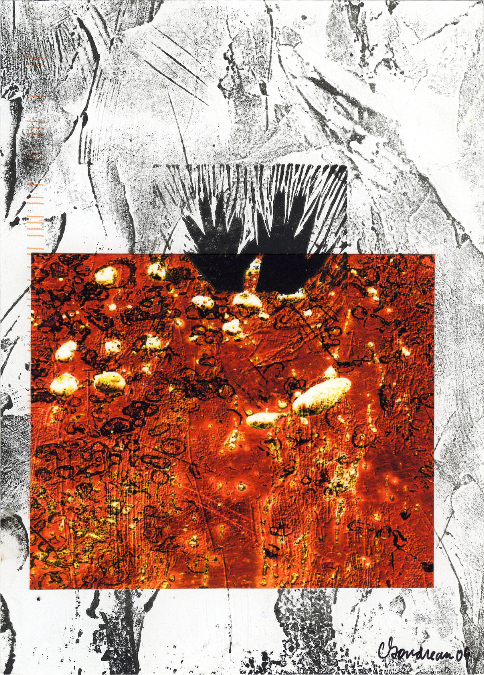 Images finis -- finished images, Céline Goudreau noir et blanc -- B/W, Paula Franzini couleur/color 11
