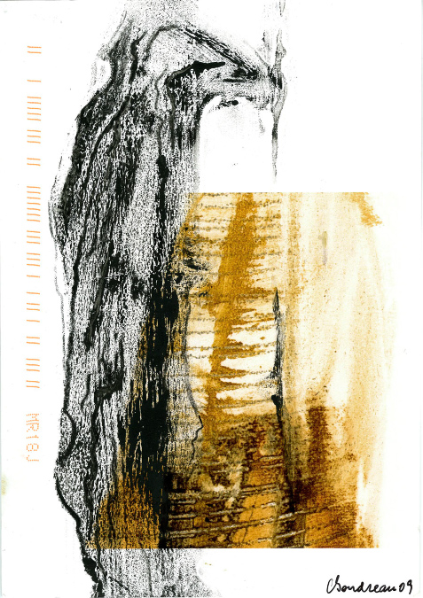 Images finis -- finished images, Céline Goudreau noir et blanc -- B/W, Paula Franzini couleur/color 2